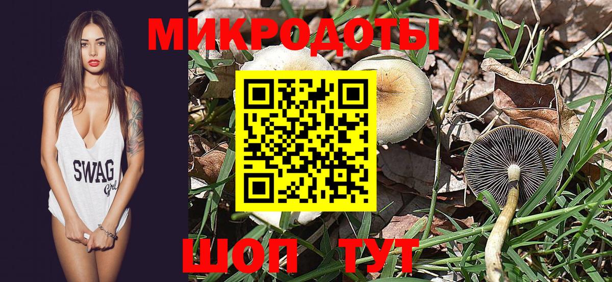 Галлюциногенные грибы мицелий  Кизляр  Псилоцибиновые грибы Psilocybe 