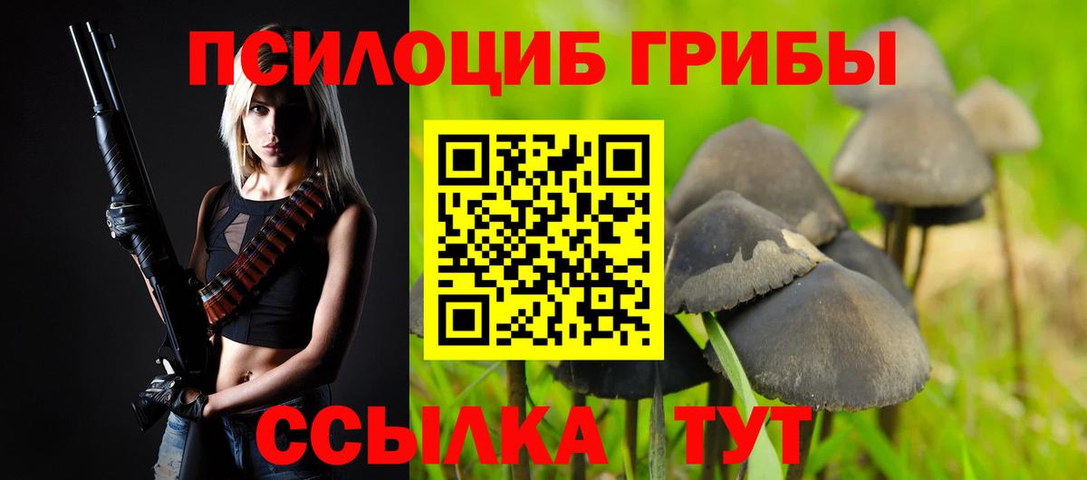 Кизляр  Галлюциногенные грибы Magic Shrooms  Вход с VPN 