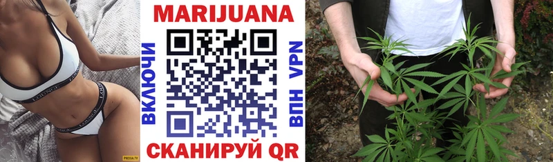 где найти наркотики  Кизляр  Каннабис тримм 