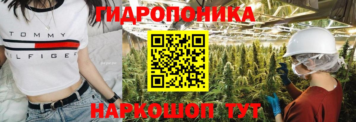 Конопля индика Кизляр